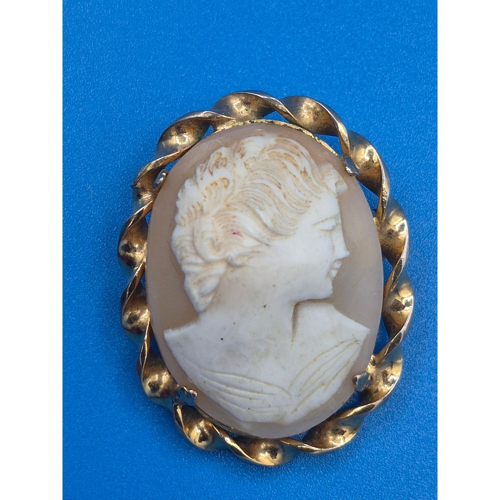 Vintage Cameo Brooch Gold Tone Twisted Rope Border Shell Carving Portrait Pin